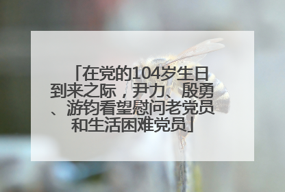 在党的104岁生日到来之际，尹力、殷勇、游钧看望慰问老党员和生活困难党员